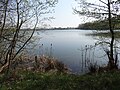 Baggersee Hohenfelde