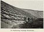 Stödplantering på Sanddynerna vid Kuriska näset ca 1910.