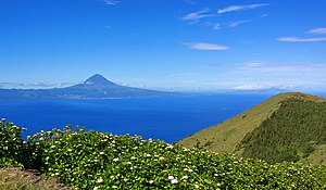 Skyline of Azoru salas