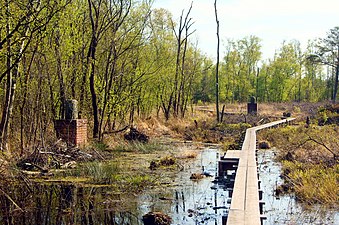 Knuppelpad op de grens in het Wooldse Veen. [4]