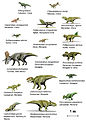 Image 25Species of Ceratopsia dinosaurs