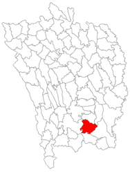 Location in Vaslui County