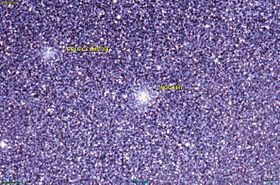 Image illustrative de l’article NGC 1917