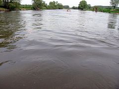 El río en Leissling, cerca de Weissenfels (Alemania).