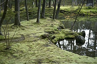 Saihō-jin temppelin sammalpuutarha