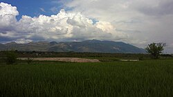 A village of Chhach near Attock