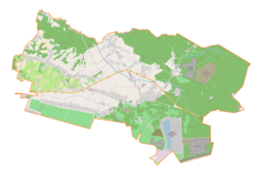 Mapa konturowa gminy Bolesław, w centrum znajduje się punkt z opisem „Bolesław”