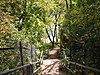 Eine Treppe führt das Steilufer hinunter an die Boom Site am St. Croix River