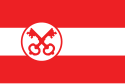 Flagge fan de gemeente Leien
