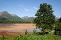 Vall de Forfjord, reserva natural amb els pins més vells de Noruega.