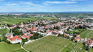 Blick über Gumpoldskirchen (2024)