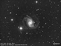 NGC1566 réalisée par un télescope amateur RC250 F8.