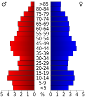 Bevolkingspiramide Morris County