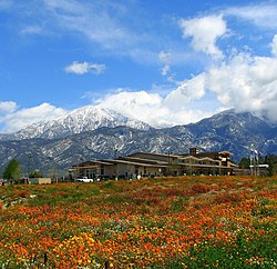 Skyline of Yucaipa