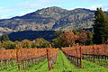 Herfst in Napa Valley