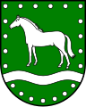 Cavallo fermo (Loxstedt, Germania)