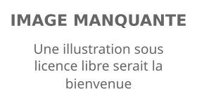 Image illustrative de l’article Rue du Maréchal-Oudinot