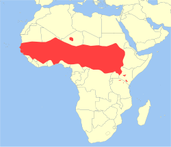 Distribución del mono patas