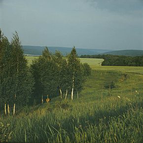 În vecinătatea satului (1980)