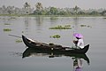 Canoe in Kerala, India, 2008