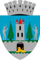 Satu Mare – Stemma