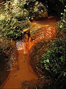 Source d'eau minérale gazeuse de Peyralade.