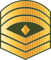 ފަސްޓް ސާރޖަންޓް Fast saarjant (Maldives National Defence Force)[20]