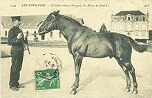 Carte postale ancienne montrant un homme tenant un cheval par les rênes