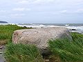 Image 9Erratics, boulders deposited by glaciers far from any existing glaciers, led geologists to the conclusion that climate had changed in the past. (from History of climate change science)