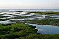 Husum bight, NP Schleswig-Holsteinisches Wattenmeer