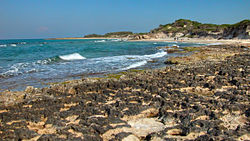 The State Natural Preserve of Torre Guaceto