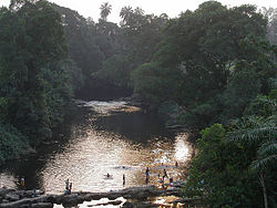 Řeka u kamerunského města Mamfe