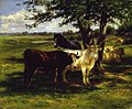 Two cows and a horse standing in the shade of a tree in a field. More seated cows in the background