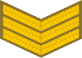 Sergeant (South African Army)[79]