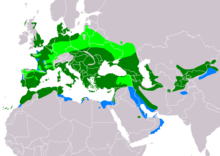 Omtrentleg geografisk utbreiing av kornsporv ██ Hekkeområde ██ Held til heile året ██ Overvintrar