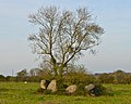 Dolmen de la Salle aux Fées.