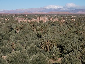 Skoura – Blick über die Palmenoasen auf die Kasbah Amerhidil mit den südlichen Ausläufern des Hohen Atlas im Hintergrund