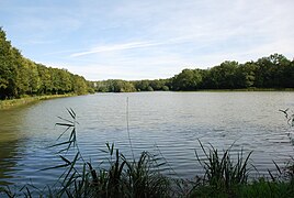 L'étang du bois du Landais en 2008.