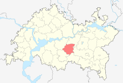 Localização do distrito de Novosheshminsky no Tartaristão