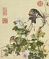 국화들, 주세페 카스틸리오네, <仙萼長春冊> 菊花圖, 1688–1766