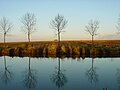 Le canal de Saint-Quentin au sud de Cambrai