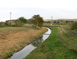 Trkmanka v Bořeticích