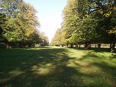 Bushy Park de Londres.