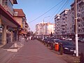 Imagen de la avenida Roman-Muşat