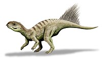 Chaoyangsaurus