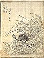 Le kappa (河童?) est un lutin des eaux bien connu. Commentaire de Sekien : Il est aussi appelé kawatarō. (川太郎ともいふ。?)