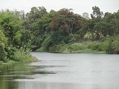 Godavari nahe Nashik