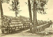 Logging activities ca. 1890