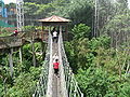 Baumkronenpfad im Jurong Bird Park