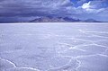 Fotografia d'un lac salat en Utah